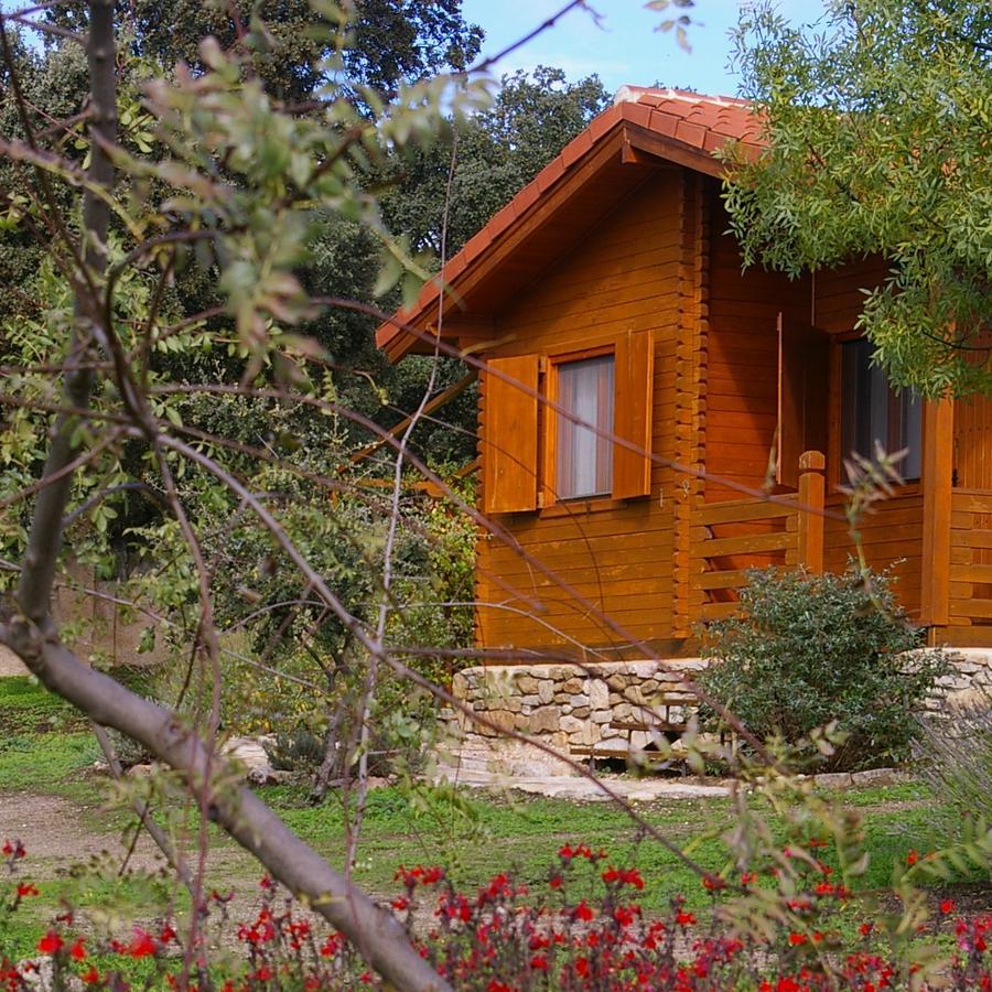 Appartement Del Cortino